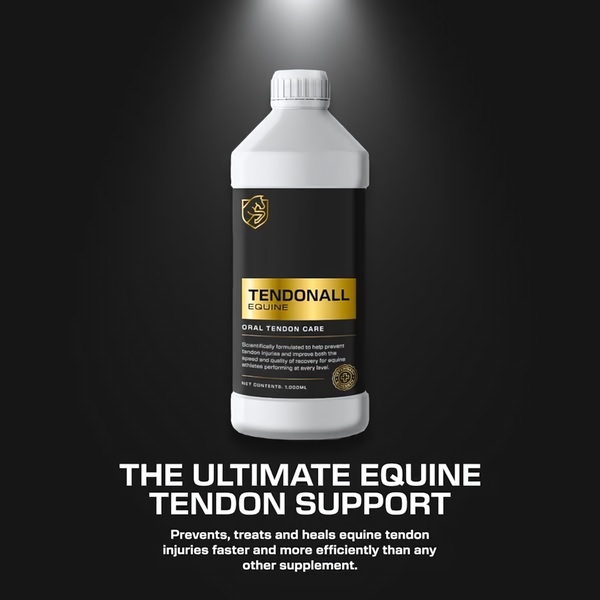 A high-contrast, professional product shot of an equine supplement bottle featuring bold typography and a clear value proposition.